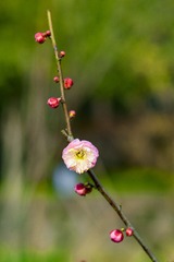 _DSC0108