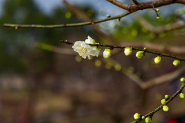 _DSC0097