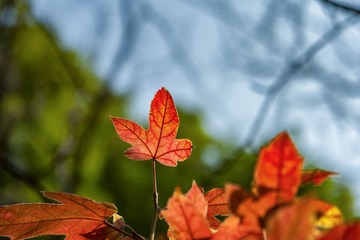 _DSC0191