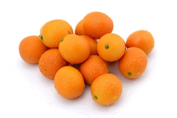 _JFP7446