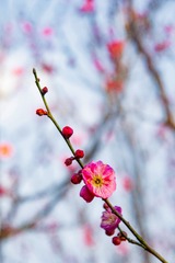_DSC0138
