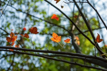 _DSC0183
