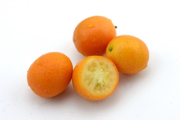 _JFP7469