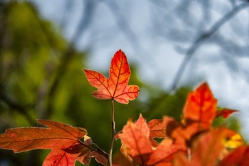 _DSC0192