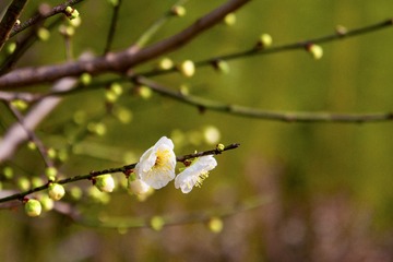 _DSC0101