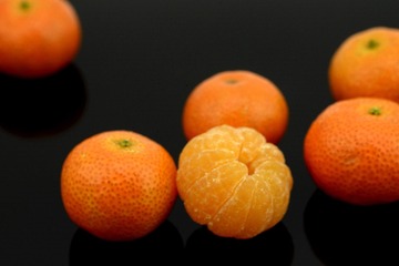_JFP7294