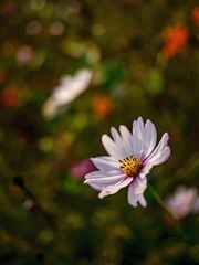 _4690349