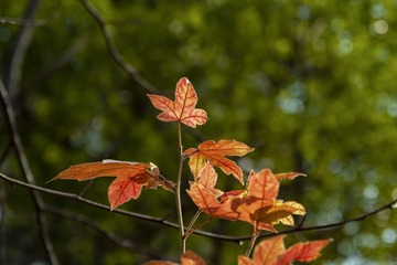 _DSC0188