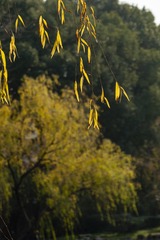 _DSC0258