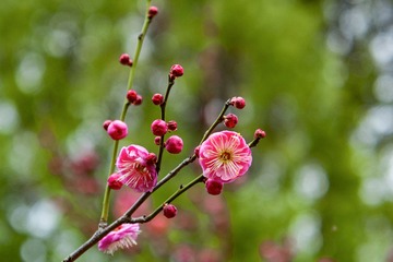 _DSC0070