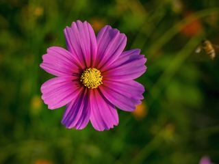 _4690356