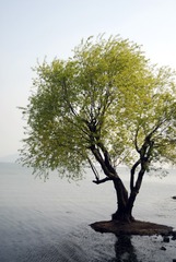_NPC0796