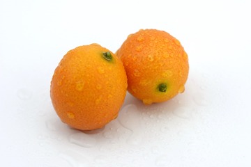 _JFP7428
