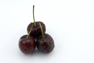_JFP7419