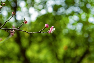 _DSC0071