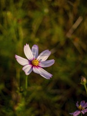 _4690317