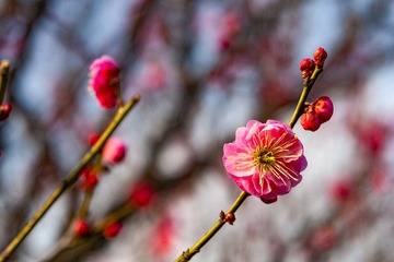 _DSC0124
