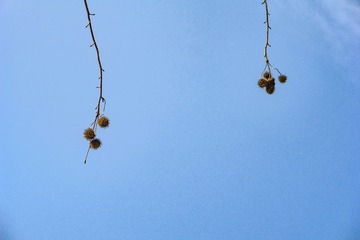 _DSC0179