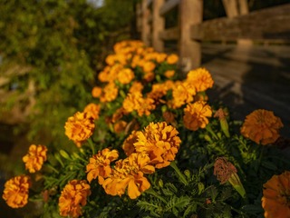 _4690206