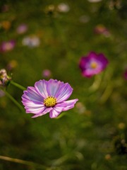 _4690319