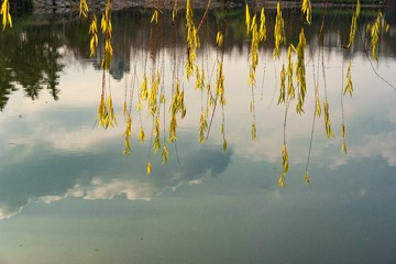 _DSC0161