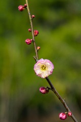 _DSC0109