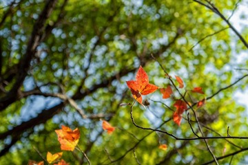 _DSC0182