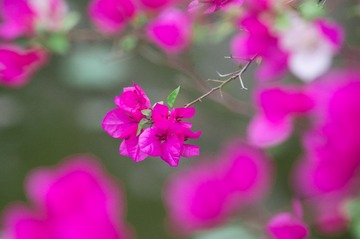 南校20
