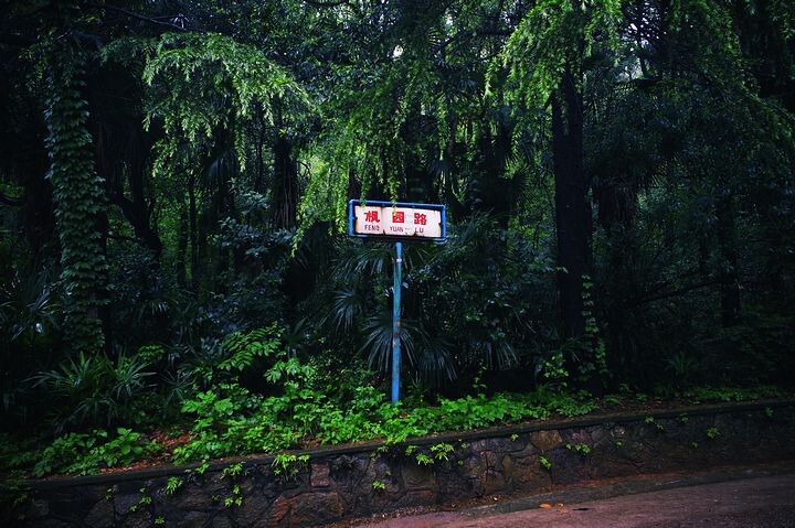 枫园路<br />
路边的老路牌一枚