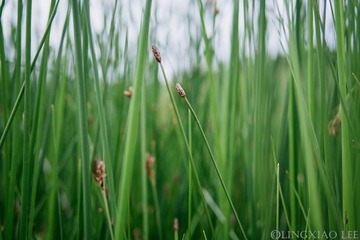 P7118071