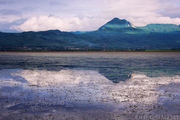 P7087748