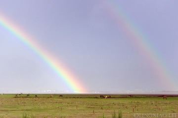 P7087695
