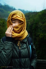 蛐蛐