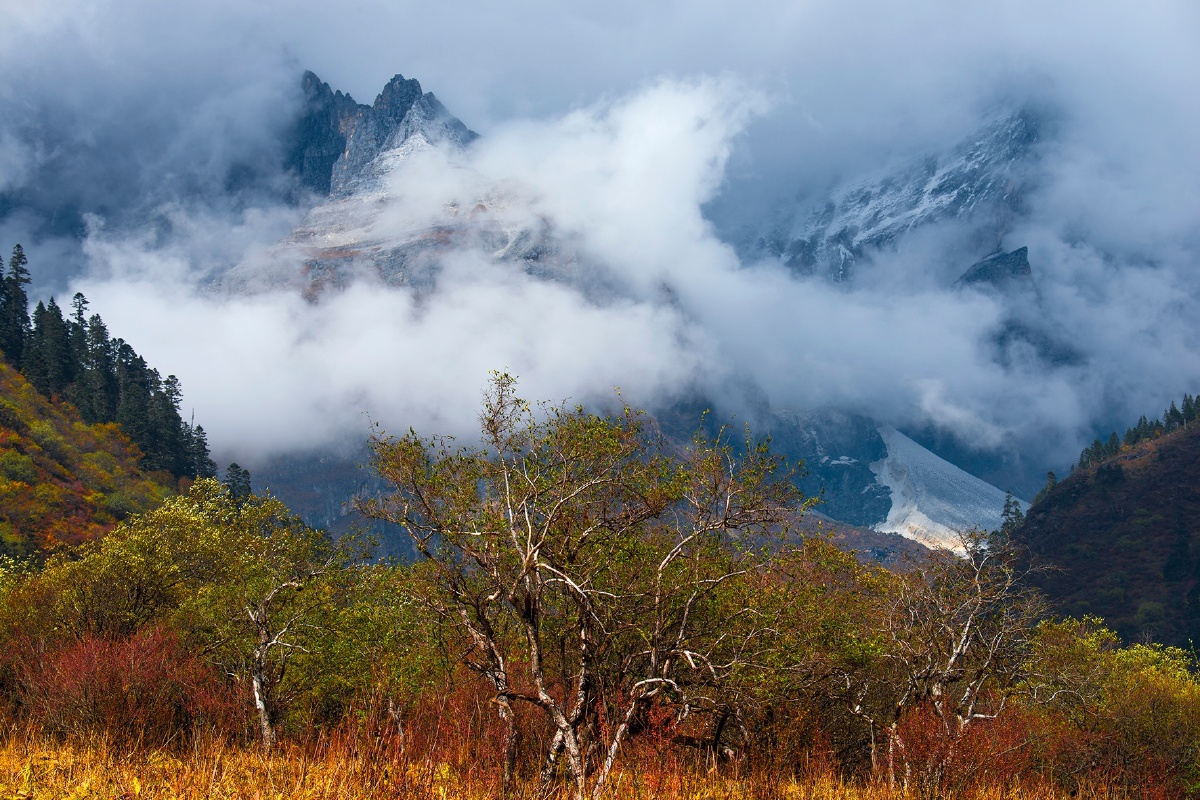 nikon d800e, af-s nikkor 80-400mm f/4.5-5.6g ed vr