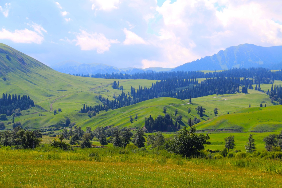 那拉提天上草原 - 紫药水的图片 - 图虫