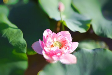 001
