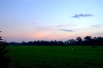 _DSC8378.jpg