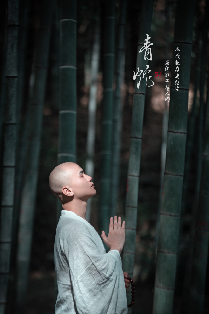 青蛇之 法海