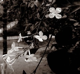 20130423_143656_副本_副本.jpg