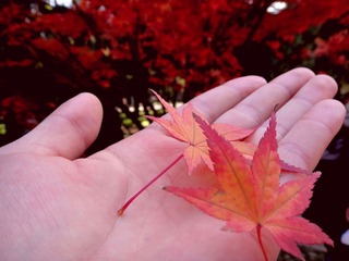 DSC01084_副本.jpg