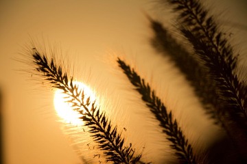 IMG_1057 (4 - 83)