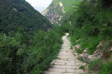 IMG_1057 (26 - 83)