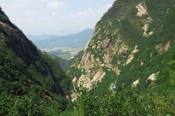 IMG_1057 (28 - 83)
