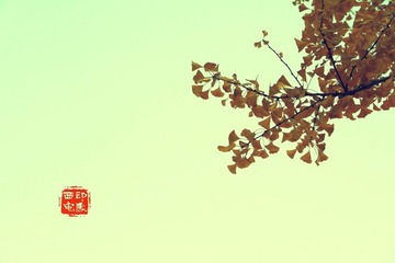 印象西电