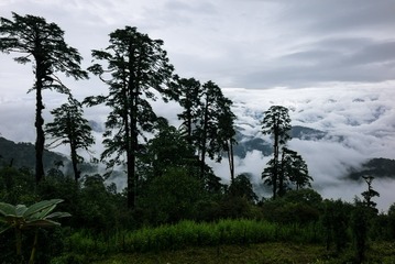 L1004154