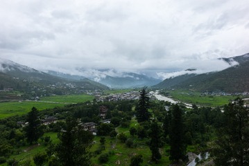 L1004361