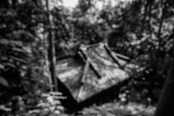 _DSC2083