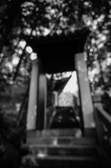 _DSC2090