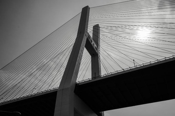_DSC1790