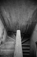 _DSC1831